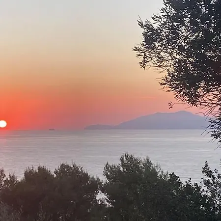 La Gemma Di Orrico *